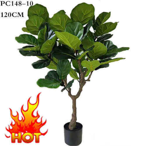 Image Description